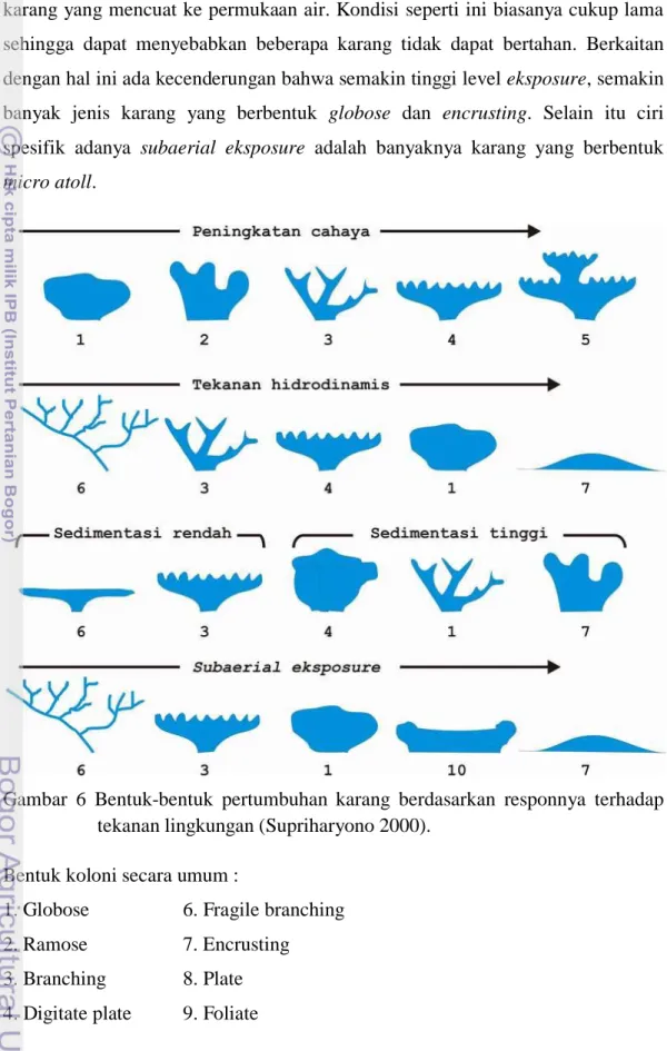 Gambar 6  Bentuk-bentuk pertumbuhan karang berdasarkan responnya terhadap  tekanan lingkungan (Supriharyono 2000)