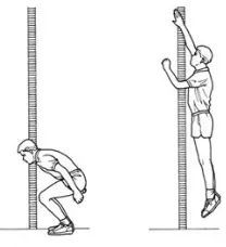 Gambar 2.4 Loncat Tegak (vertical jump) (Tes Kebugaran Jasmani Indonesia 2003:15) 