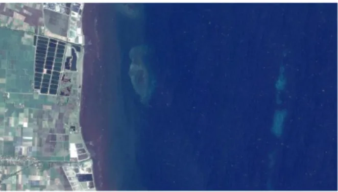 Gambar 1. Foto udara lokasi penelitian   (sumber geoeye 29 juli 2013) 