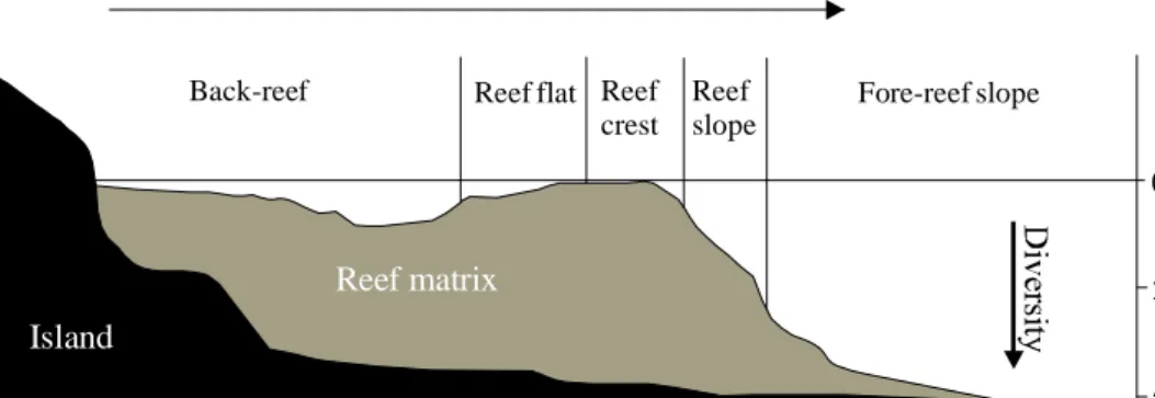 Gambar 2. Kenampakan melintang secara umum pada tipe karang tepi yang memperlihatkan susunan geomorfologi/zona-zona ekologinya.