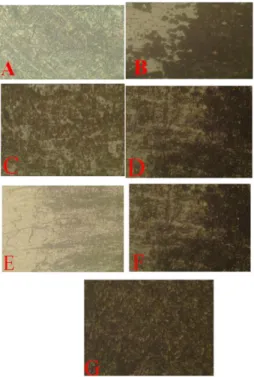 Gambar 2. Struktur Mikro Lasan : A) Baja  Karbon. B) Daerah HAZ filler LB-5U-80A. C)  Daerah HAZ filler LB-5U-100A