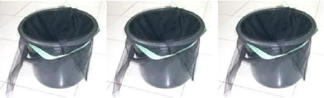 Gambar 3.1 Ovitrap 