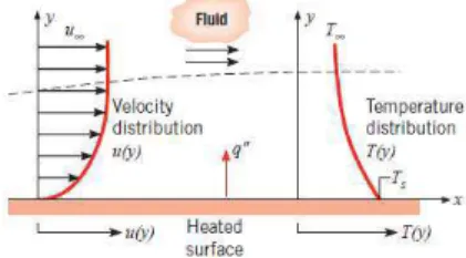 Gambar 4. Pertumbuhan lapisan batas pada perpindahan panas konveksi [1] 