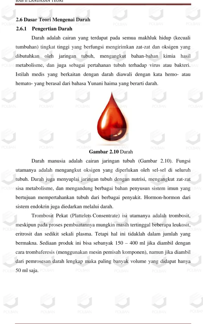 Gambar 2.10 Darah