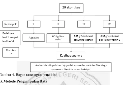 Gambar 4. Bagan rancangan penelitian 