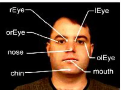 Gambar  2.  Lokasi – lokasi titik jangkar, rEye – inside of the  right eye (di dalam wilayah mata kanan), orEye – outside  of the right eye (di luar wilayah mata kanan), IEye – inside  of the left eye (di dalam wilayah mata kiri), oIEye – outside  of  the 
