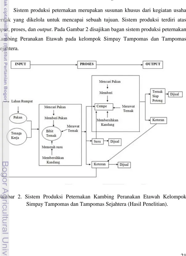 Gambar  2.  Sistem  Produksi  Peternakan  Kambing  Peranakan  Etawah  Kelompok  Simpay Tampomas dan Tampomas Sejahtera (Hasil Penelitian)
