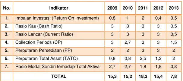 Tabel 2.6 Kinerja Keuangan Tahun 2009-2013 
