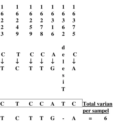 Tabel 4. Data varian normal daerah D-Loop mtDNA terhadap urutan Anderson yang  ditemukan pada sampel A1 