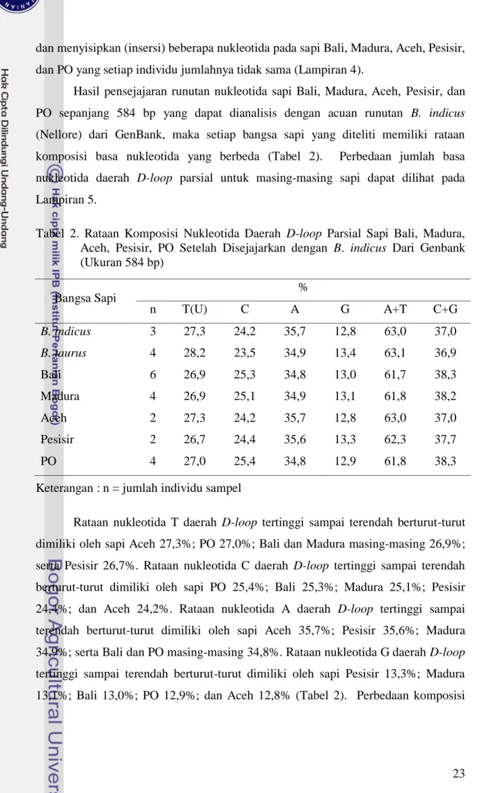 Tabel  2.  Rataan  Komposisi  Nukleotida  Daerah  D-loop  Parsial  Sapi  Bali,  Madura,  Aceh,  Pesisir,  PO  Setelah  Disejajarkan  dengan  B