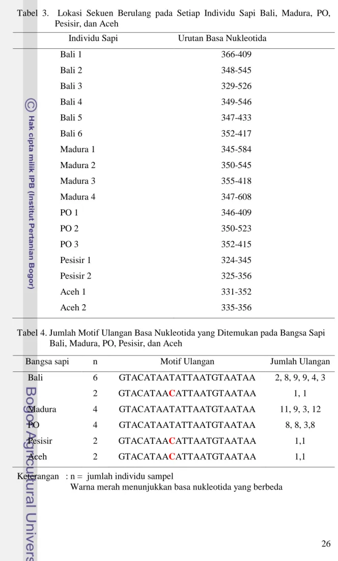 Tabel 4. Jumlah Motif Ulangan Basa Nukleotida yang Ditemukan pada Bangsa Sapi  Bali, Madura, PO, Pesisir, dan Aceh 