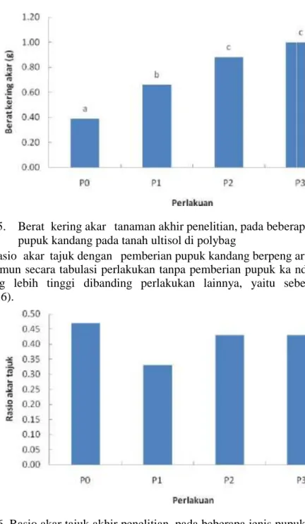 Gambar 5. Berat kering akar tanaman akhir penelitian, pada beberapa jenis pupuk kandang pada tanah ultisol di polybag