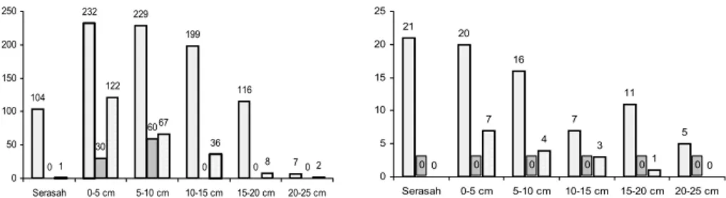 Gambar 4. Jumlah individu taksa Formicidae (garis putus), Isoptera (hitam titik), dan Oligochaeta (kotak) pada setiap lapisan tanah dan serasah di T