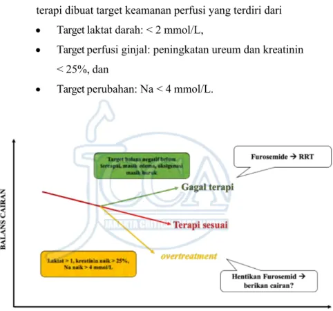 Gambar 7. Target dan pemantauan dalam tata laksana deresusitasi 