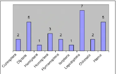 Gambar  2.  Jumlah  Peneliti  Taksonomi  Insekta  Indonesia  dari  setiap  kelompok  ordo  (Sumber: Direktori INTI, 2005)