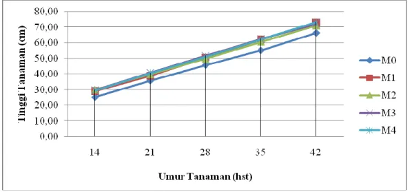 Tabel  1.    Rataan  Tinggi  Tanaman  Terung Pengaruh Beberapa Jenis Mulsa  Organik Pada Umur 42 hst 