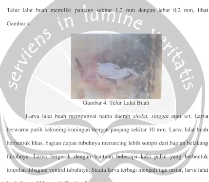 Gambar 4.  