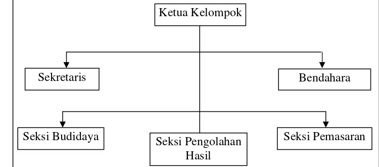 Gambar 6 : Struktur Organisasi APKI di Kecamatan Kahayan Kuala 