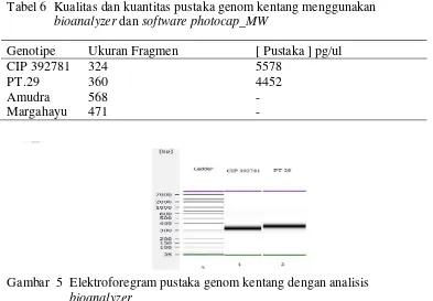 Tabel 6  Kualitas dan kuantitas pustaka genom kentang menggunakan 