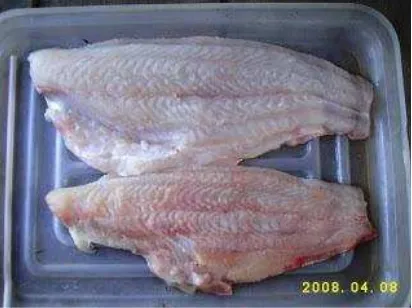 Gambar 5. Daging Fillet Ikan Patin. 