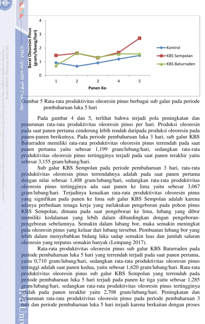 Gambar 5 Rata-rata produktivitas oleoresin pinus berbagai sub galur pada periode  pembaharuan luka 5 hari 
