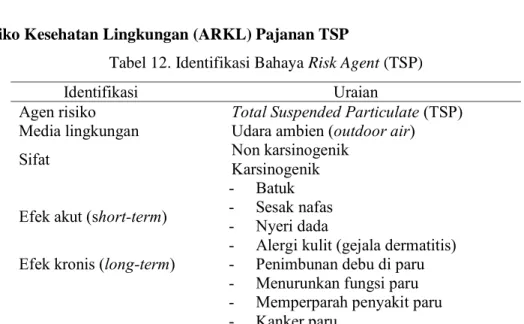 Tabel 12. Identifikasi Bahaya Risk Agent (TSP) 
