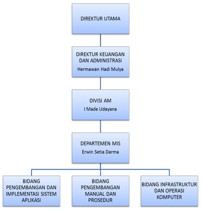 Gambar II-3 Struktur Organisasi IT di PT. Dirgantara Indonesia