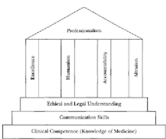 Gambar 1. Definisi Profesionalisme menurut Arnold dan Stern (2006). 