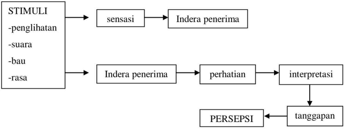 Gambar 1. Proses Perseptual 