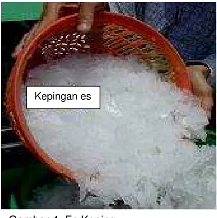 Gambar 4. Es Keping 