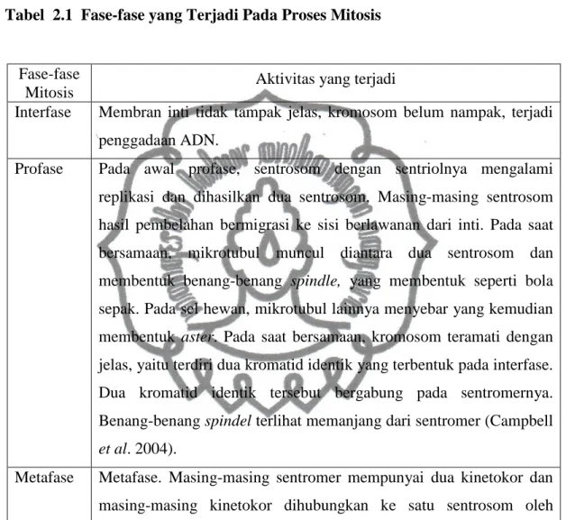 Tabel  2.1  Fase-fase yang Terjadi Pada Proses Mitosis 