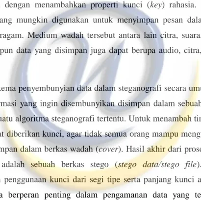 Gambar 2.2 Proses Steganografi [2]