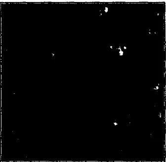 Gambar 7.1. RGB 5 4 2  Cropping Citra Landsat ETM+ Path Row 125-061, Propinsi Jambi 