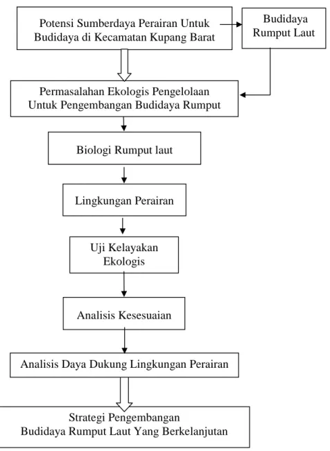 Gambar 1. Diagram Alir Pendekatan Pengembangan Budidaya Rumput Laut   di Kecamatan Kupang Barat, Kabupaten Kupang 