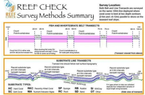 Gambar 3. Metode Reef Check atau Point Intercept Transect 