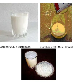 Gambar 2.34 : Susu Kering 