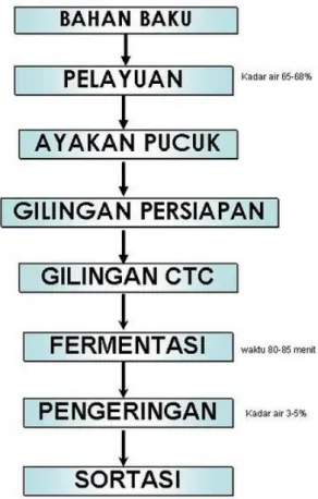 Gambar 4. Proses pembuatan teh hitam CTC 