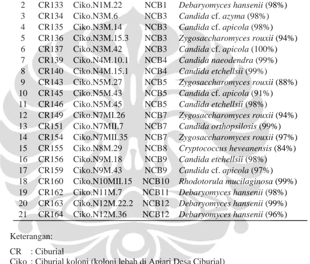 Tabel 4.2.2.1. Hasil identifikasi khamir dari saluran pencernaan A. cerana (NCB) di  Apiari Desa Ciburial, Kabupaten Bandung 