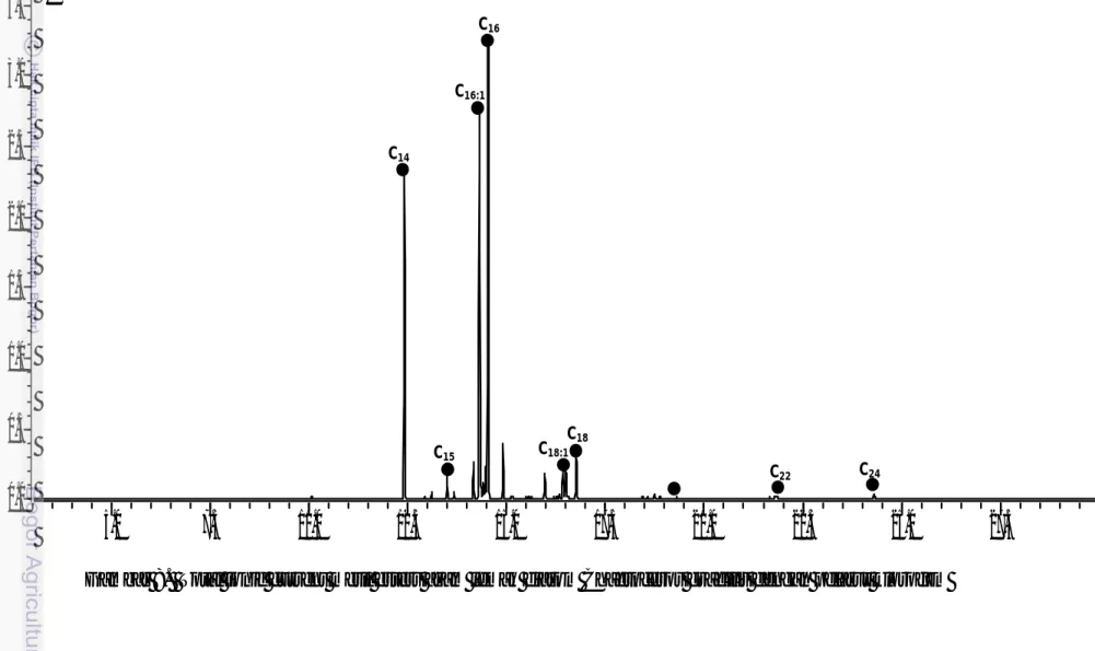 Gambar 8.  Total ionic current metil esters asam lemak diatom Chaetoceros gracilis dengan pelarut klorofom C24 C22 C18 C18:1 C16 C16:1 C15 C14 