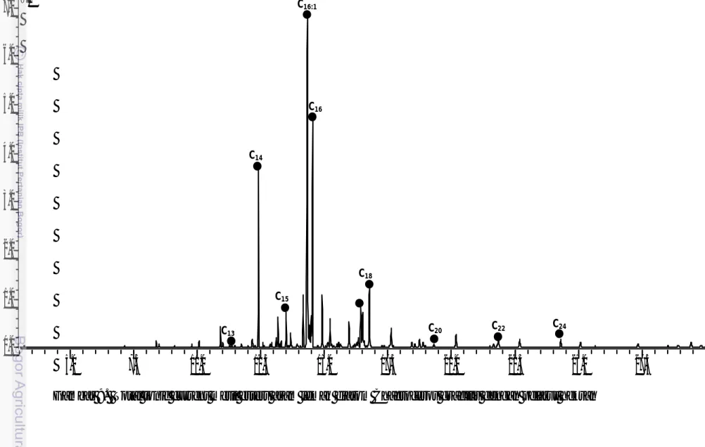Gambar 9.  Total ionic current metil esters asam lemak diatom Chaetoceros gracilis dengan pelarut heksanC24 C22 C20 C18 C16 C16:1 C14 C15 C13 