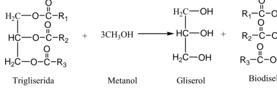 Gambar 2-1 Persamaan reaksi pembuatan biodiesel 