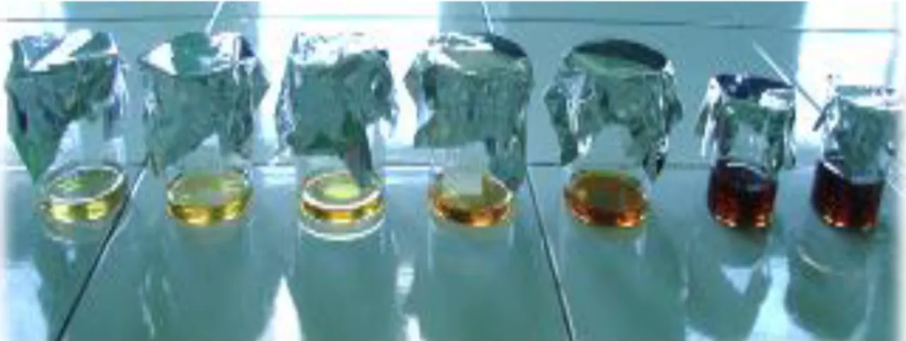 Gambar  1.  Minyak  jelantah  dari  minyak  babi  hasil  penggorengan  ke  1,  2,  3,  4,  5,  6,  7  (berturut- (berturut-turut dari kiri ke kanan)