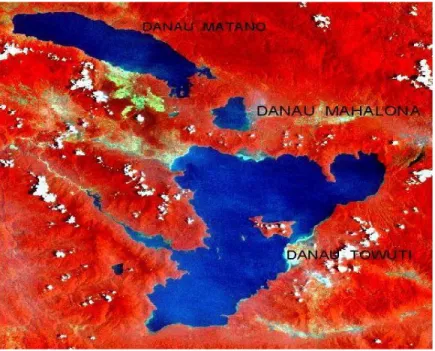 Gambar 4. Citra Landsat-7 ETM Gabungan RGB 421 