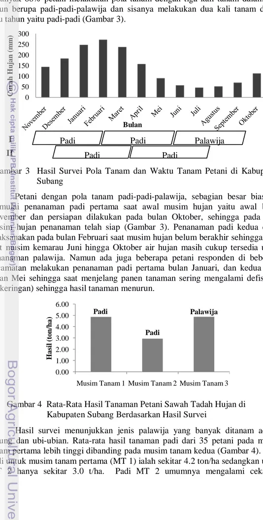 Gambar 4  Rata-Rata Hasil Tanaman Petani Sawah Tadah Hujan di  Kabupaten Subang Berdasarkan Hasil Survei 