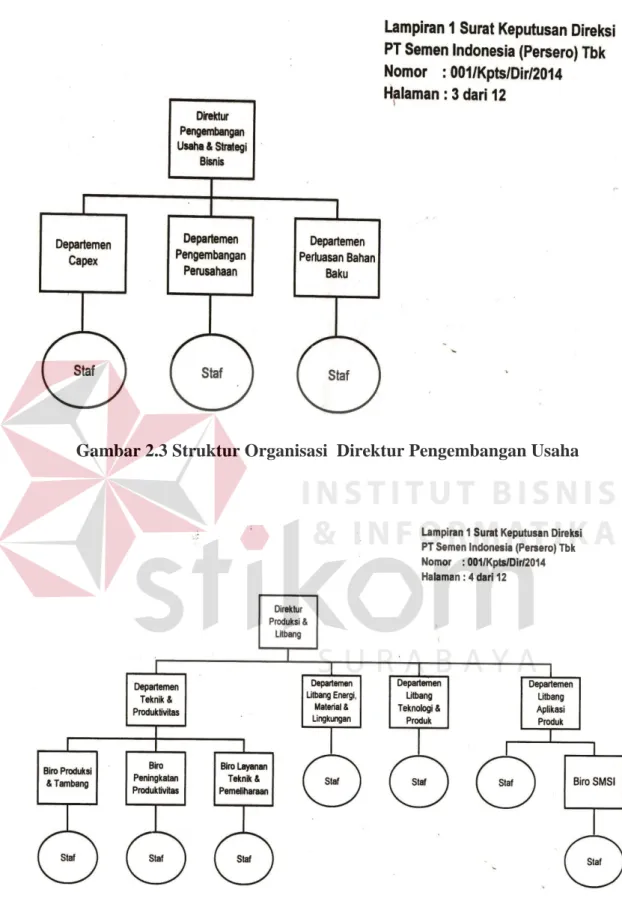 Gambar 2.3 Struktur Organisasi  Direktur Pengembangan Usaha 