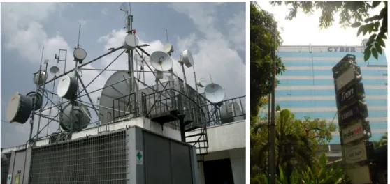 Gambar salah satu roof top gedung cyber “welcome to the jungle” (sumber sbugi.multiply.com) 