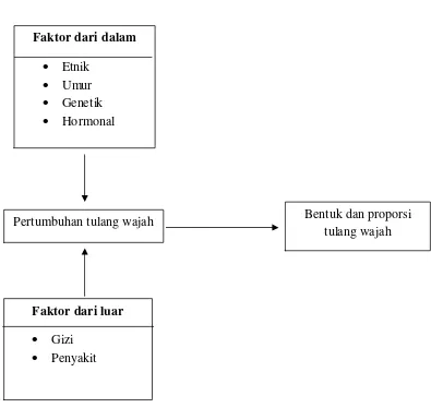 Gambar 1. Bagan alur faktor – faktor yang mempengaruhi bentuk dan tulang wajah  (Hastuti, 2004 dan Mudiyah Mockhtar 2002)