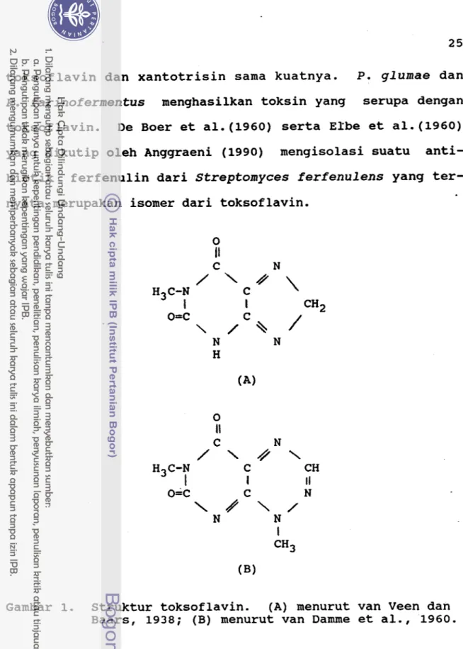 Gambar  1.  Struktur toksoflavin.  (A) menurut van Veen dan  Baars, 1938;  (B) menurut van Damme et al.,  1960