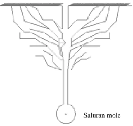 Gambar 3. Retakan yang terbentuk pada drainase mole  (Smart dan Herbertson, 1992). 