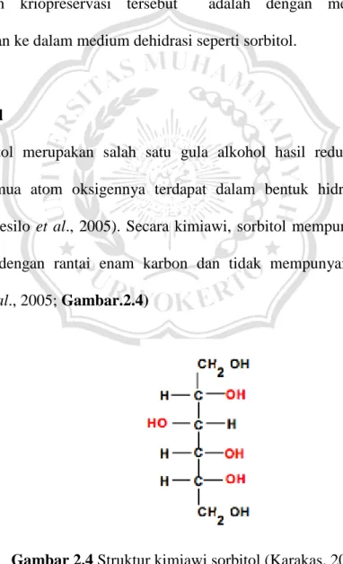 Gambar 2.4 Struktur kimiawi sorbitol (Karakas, 2001) 
